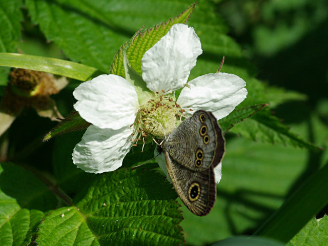 f0204094_2175233.jpg