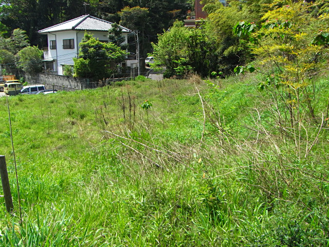 f0204094_229293.jpg