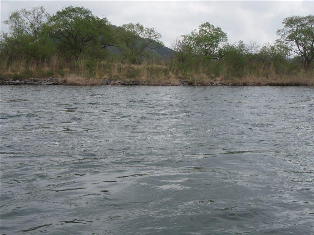 c0177497_21493950.jpg