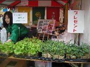c0088402_233046.jpg