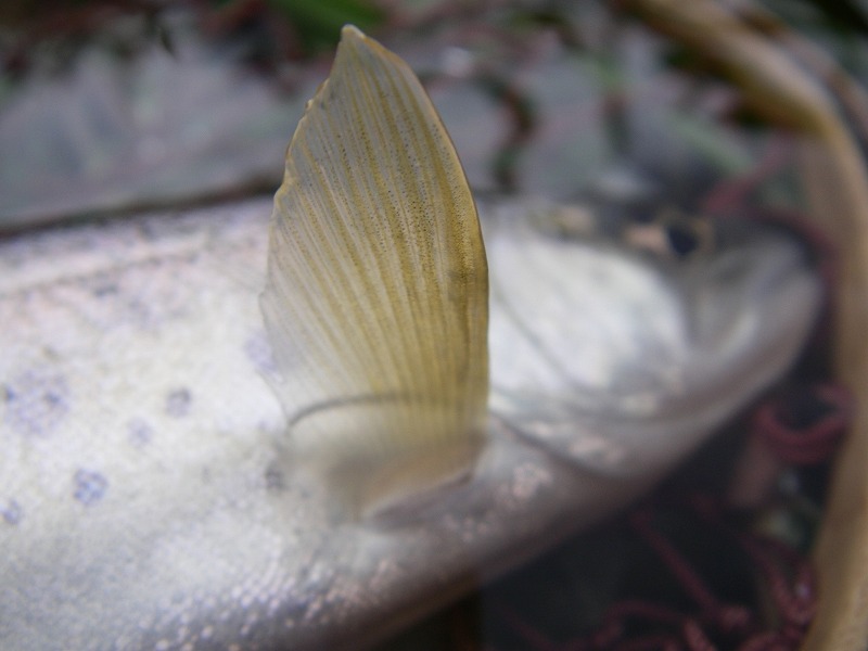 c0180802_00891.jpg