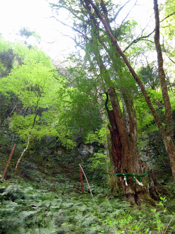 e0046302_17381116.jpg