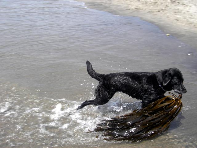 f0034602_2044337.jpg