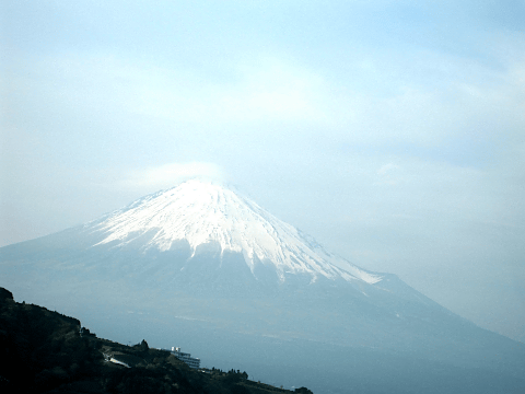a0006605_1311220.gif