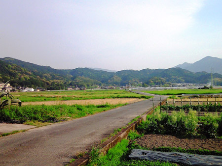 a0097006_21255213.jpg