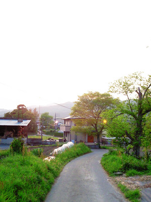 a0097006_23464785.jpg