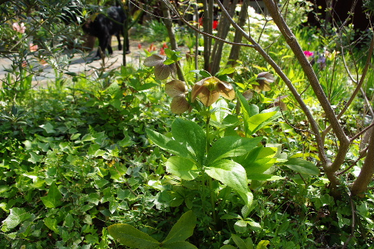 c0056707_20553995.jpg