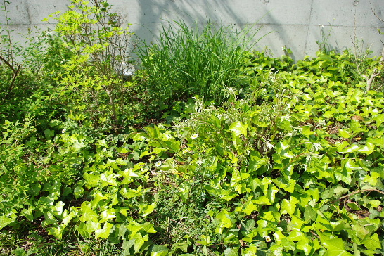 c0056707_20555334.jpg