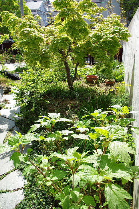 c0056707_20561437.jpg