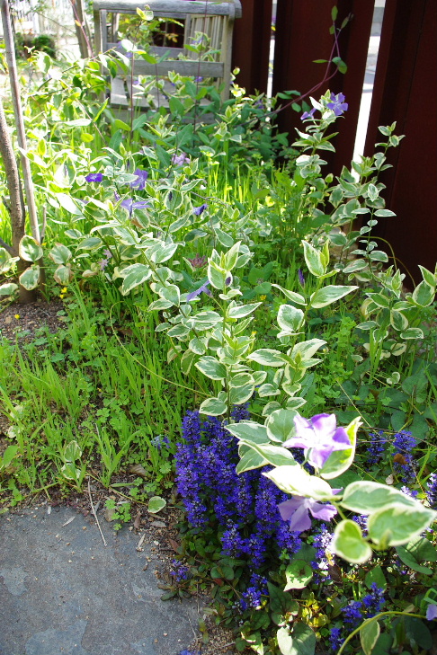c0056707_2056227.jpg