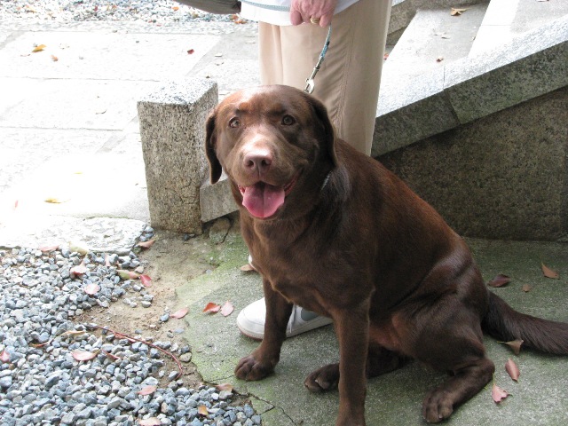 d0081210_1619449.jpg