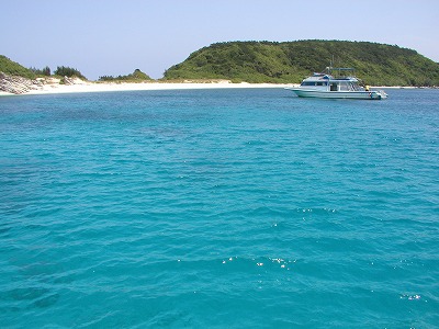 b0000813_8443669.jpg