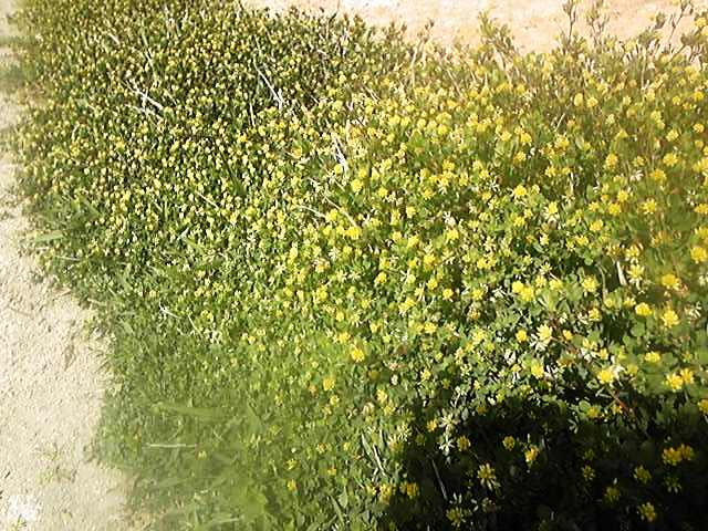 e0149215_1723348.jpg