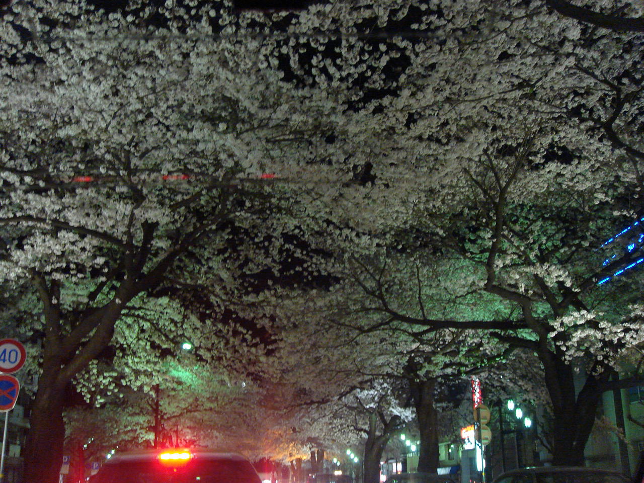 夜桜見物_f0182618_11241777.jpg