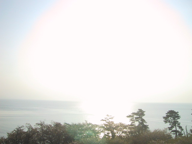 c0097620_033537.jpg