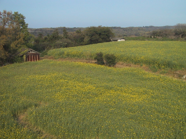 c0097620_03534.jpg