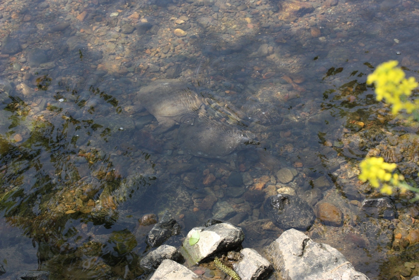 b0146723_14442713.jpg