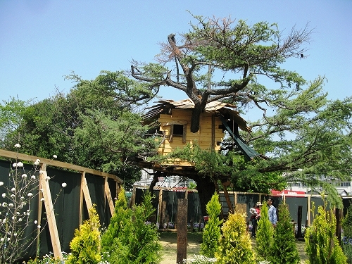 e0072023_20155226.jpg