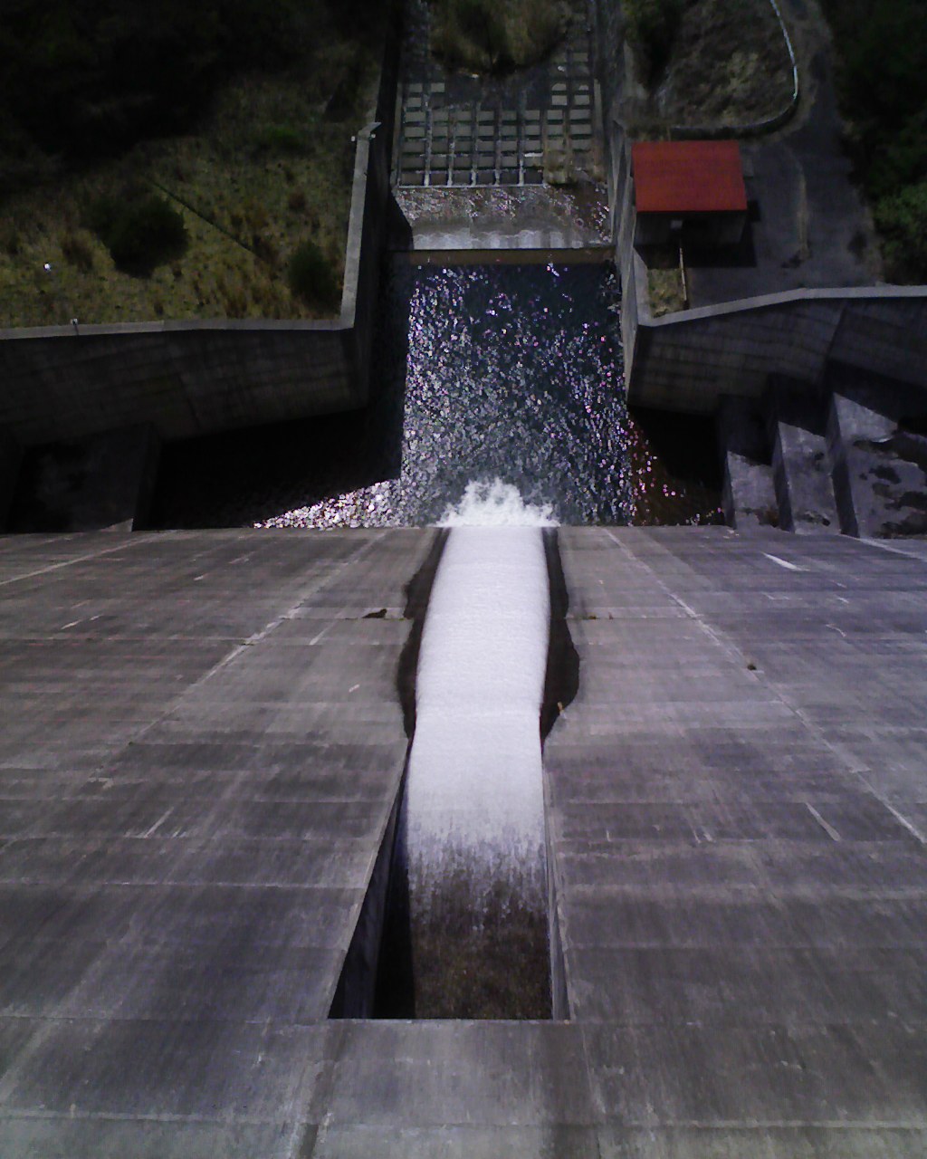 b0004325_8484890.jpg