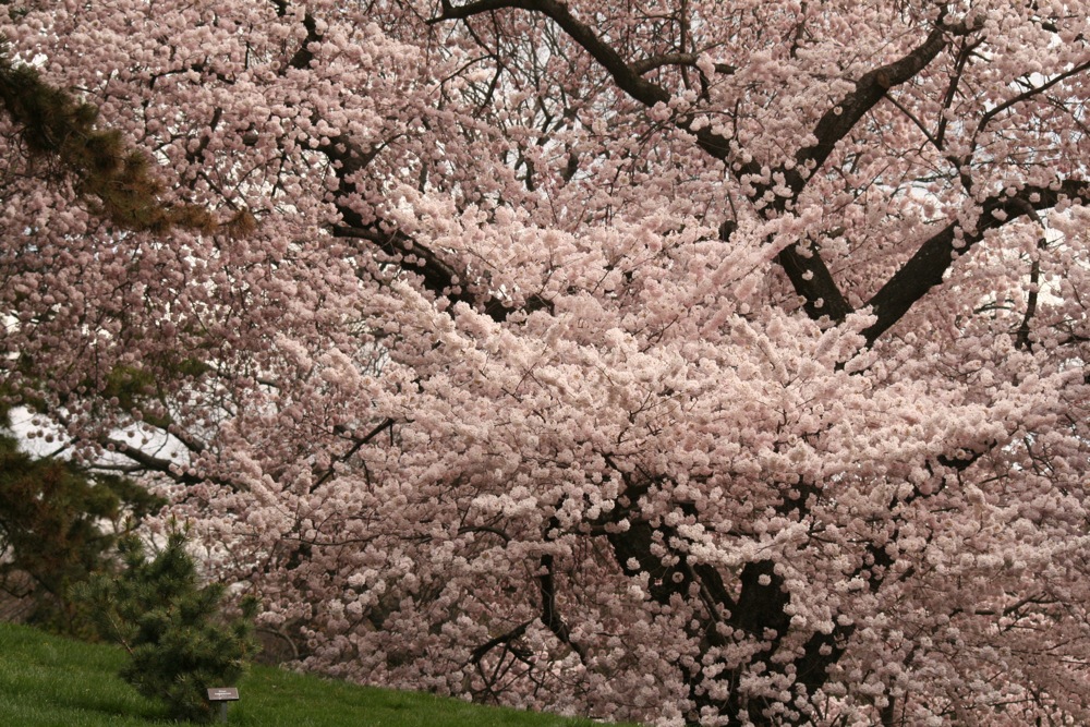 c0064027_10394630.jpg