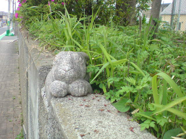 e0016828_17388.jpg