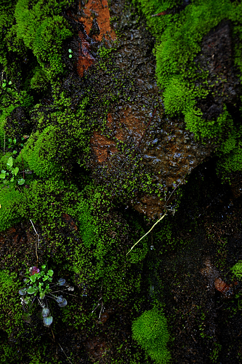 b0169630_20262364.jpg