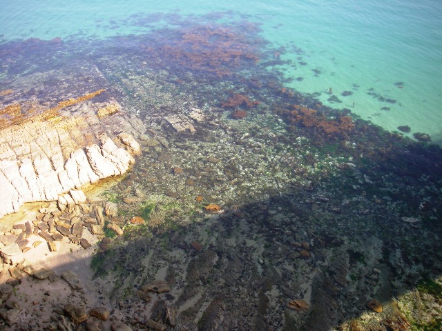 f0000330_19124596.jpg