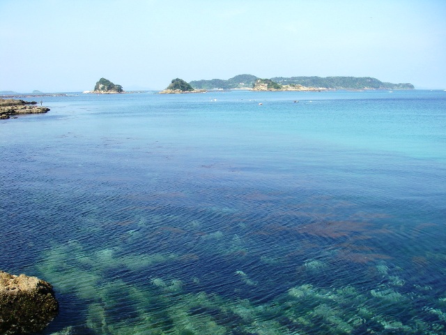 f0000330_19233275.jpg