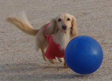 c0117831_21561217.jpg