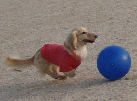 c0117831_21563252.jpg