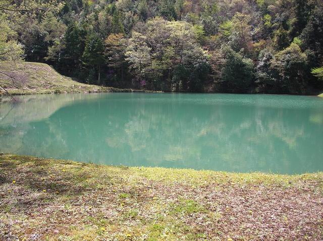 c0029332_21221440.jpg