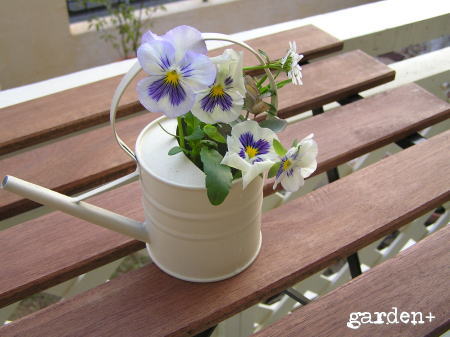 2009我が家の春の庭木_f0023333_20282019.jpg