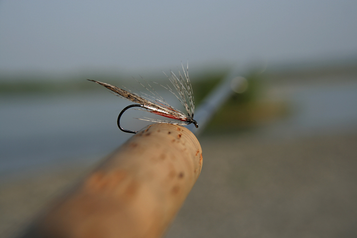 とりあえずの釣果_c0120834_1440418.jpg