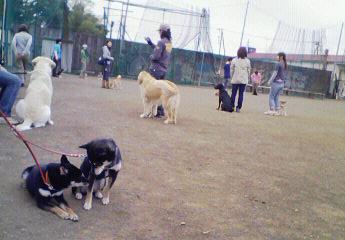 e0025240_2322872.jpg