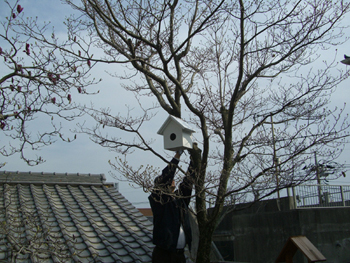e0110940_7212098.jpg