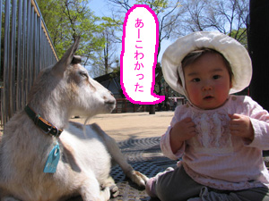 ベビーとお出かけ＠上野動物園_a0106341_16373571.jpg