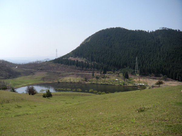 c0047341_1955045.jpg