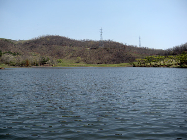 c0047341_19553946.jpg
