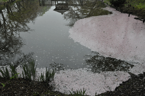 c0093046_964774.gif