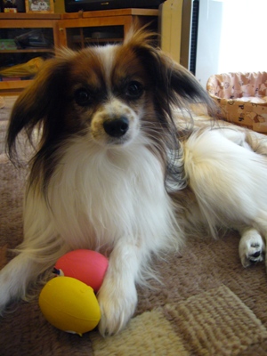 e0100046_21463798.jpg