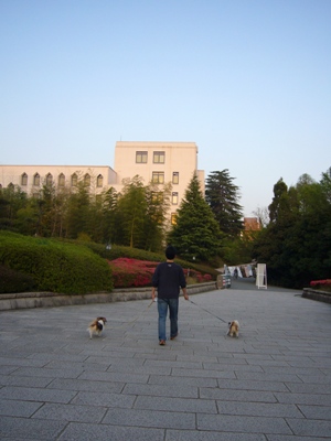 e0100046_2158780.jpg