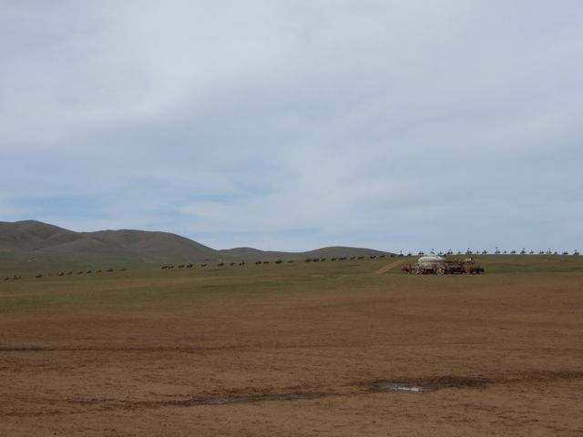 f0183347_16452889.jpg