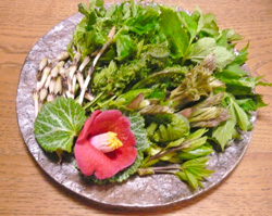 Z家の\"いただきもので\"晩ごはん〜春の味覚_a0017350_23354670.jpg