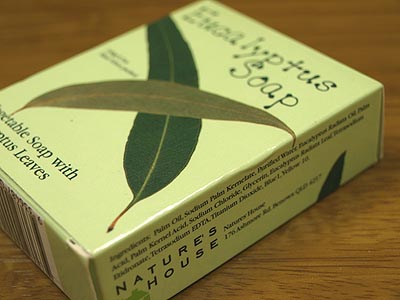 ☆eucalyptuses & olive ☆_c0092953_1722084.jpg