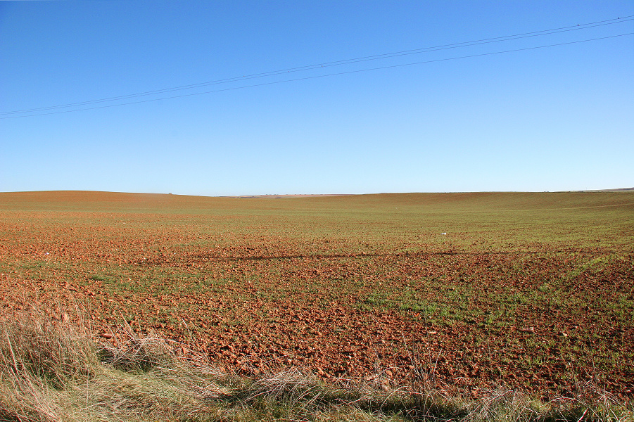 f0140054_11725.jpg