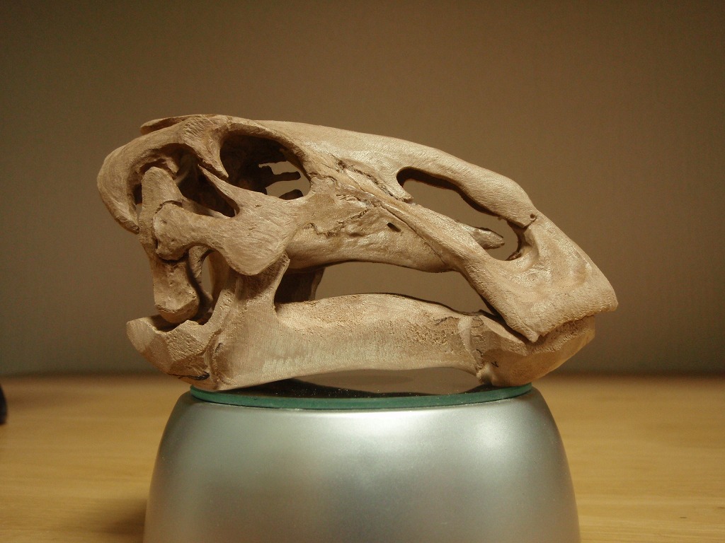 e0064457_2054328.jpg