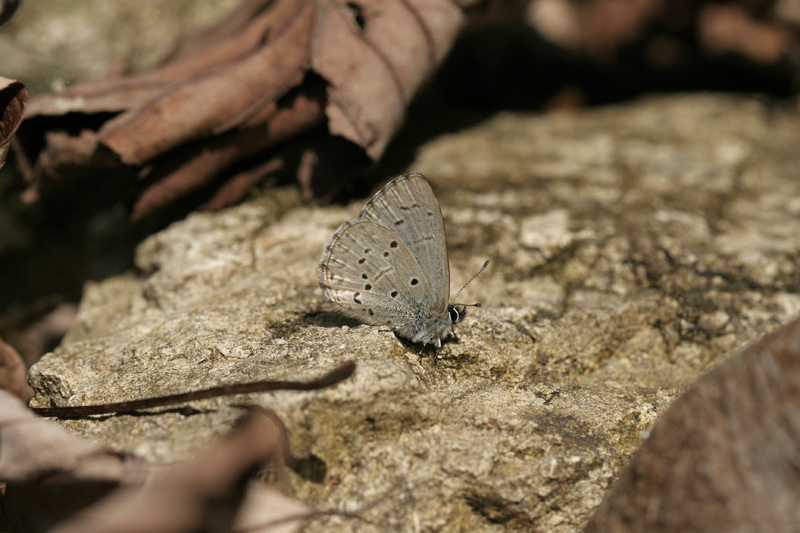 e0156157_21365117.jpg
