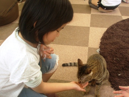 ねころび @東池袋 etc..._c0119259_0225577.jpg