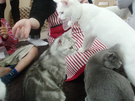 ねころび @東池袋 etc..._c0119259_0241159.jpg