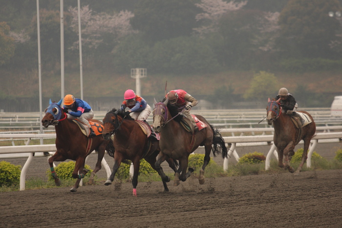 2009年4月4日（土） 高知競馬 9R B2_a0077663_9415483.jpg